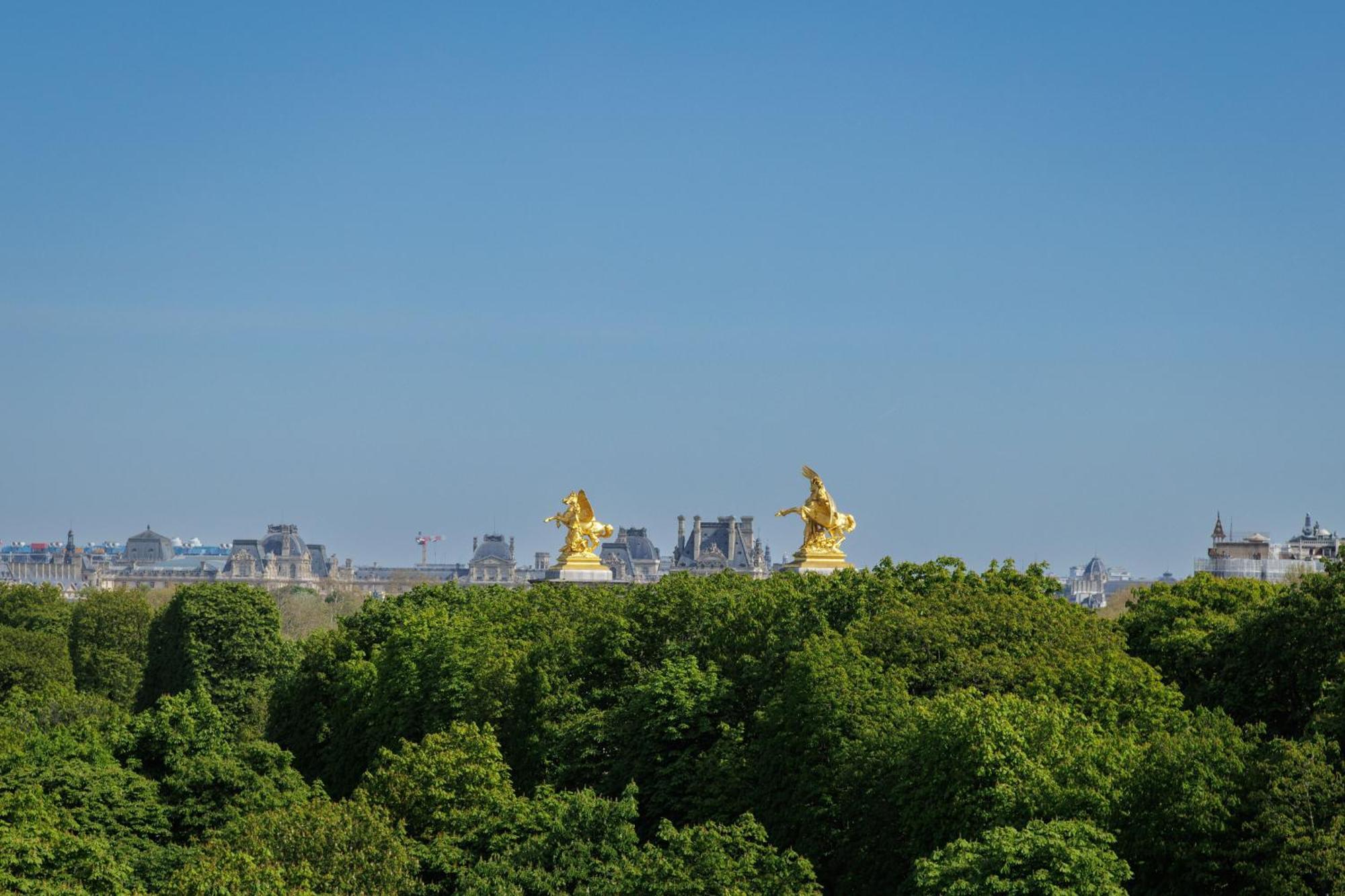 Luxury - Avenue Montaigne Appartamento *